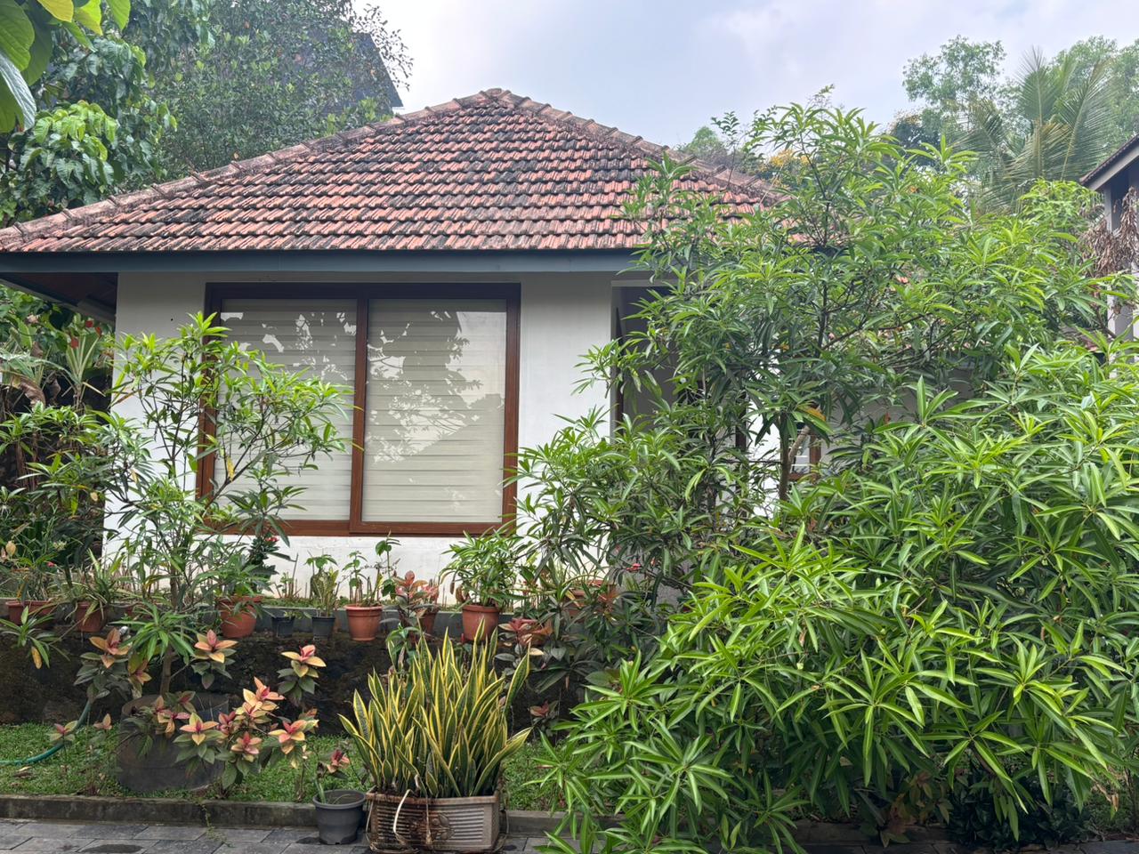 Exterior at Bluewoods Homestay